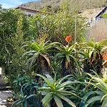 Apartament Solana - Argonautivacanze