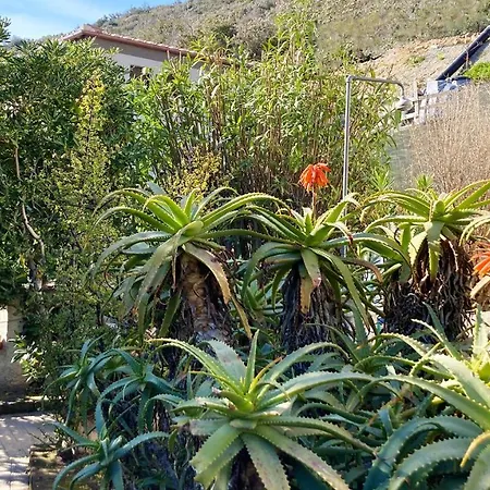 公寓 Solana - Argonautivacanze